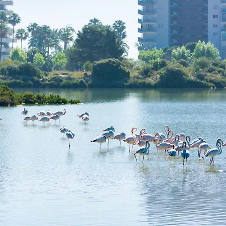 Casa Sunrise * Calpe